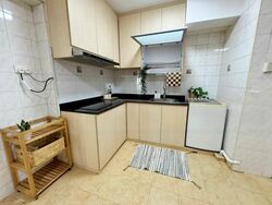 Blk 108B Towner Heights (Kallang/Whampoa), HDB 5 Rooms #436218281